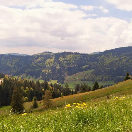 Relaxapartment Massagesessel, Küche, Balkon, Apartment *